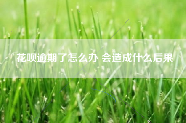 花呗逾期了怎么办 会造成什么后果