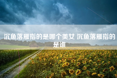 沉鱼落雁指的是哪个美女 沉鱼落雁指的是谁