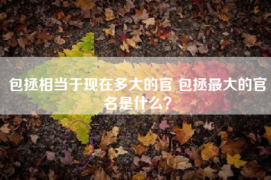 包拯相当于现在多大的官 包拯最大的官名是什么？