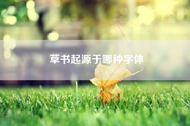 甲骨文为什么没有夏 甲骨文为什么没有夏