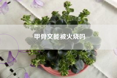 楷书需要学多久