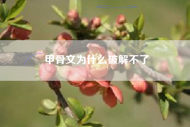 甲骨文为什么破解不了