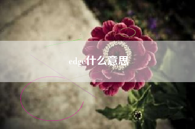edge什么意思