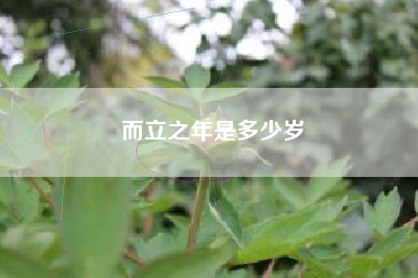 而立之年是多少岁