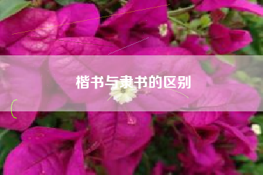 楷书与隶书的区别