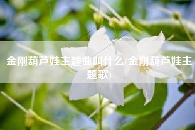 金刚葫芦娃主题曲叫什么(金刚葫芦娃主题歌) 金刚葫芦娃主题曲叫什么(金刚葫芦娃主题歌)