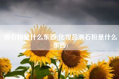 滑石粉是什么东西(化妆品滑石粉是什么东西)
