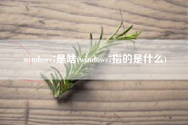 windows7是啥(windows7指的是什么)