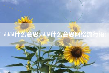 dddd什么意思(dddd什么意思网络流行语)