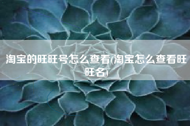 淘宝的旺旺号怎么查看(淘宝怎么查看旺旺名)