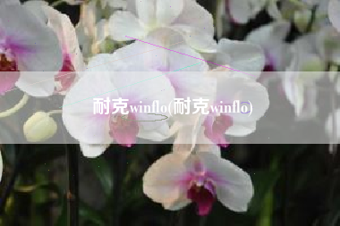 耐克winflo(耐克winflo)