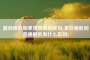 数码相机和单反相机的区别(单反相机和普通相机有什么区别) 数码相机和单反相机的区别(单反相机和普通相机有什么区别)