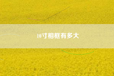 10寸相框有多大