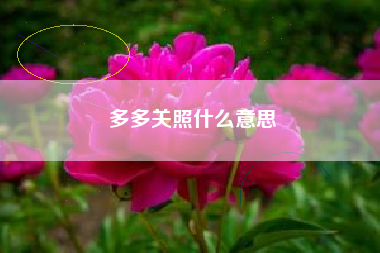 多多关照什么意思