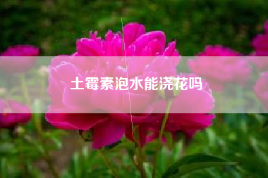 土霉素泡水能浇花吗