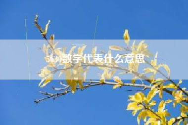 5630数字代表什么意思