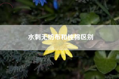 水刺无纺布和纯棉区别