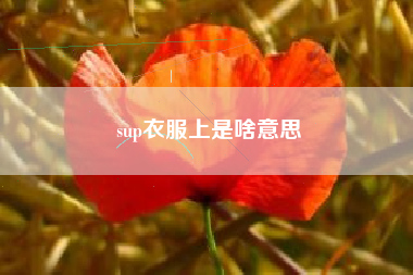 sup衣服上是啥意思