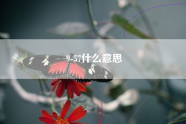 9-57什么意思
