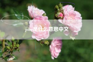 john是什么意思中文