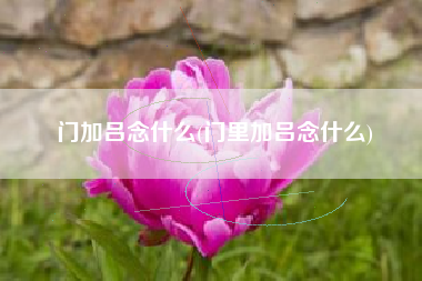 门加吕念什么(门里加吕念什么) 门加吕念什么(门里加吕念什么)