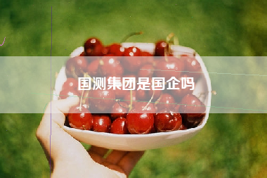 国测集团是国企吗