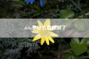 debt是什么意思啊了