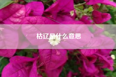 枯辽是什么意思