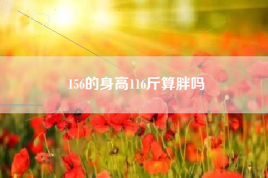 156的身高116斤算胖吗