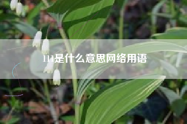 111是什么意思网络用语