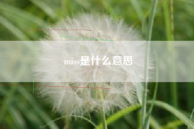 miss是什么意思