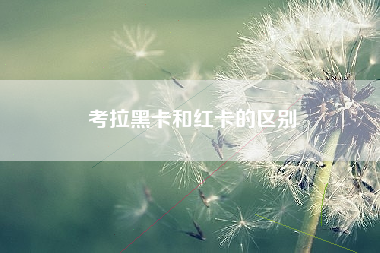 考拉黑卡和红卡的区别