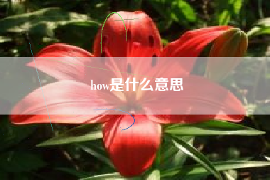 how是什么意思
