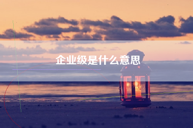 企业级是什么意思