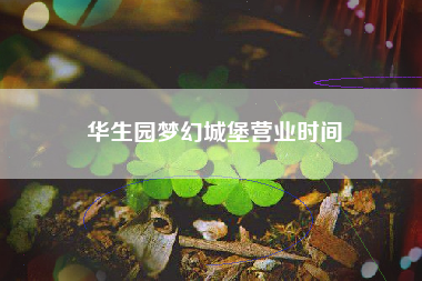 华生园梦幻城堡营业时间