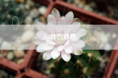 jb5什么意思