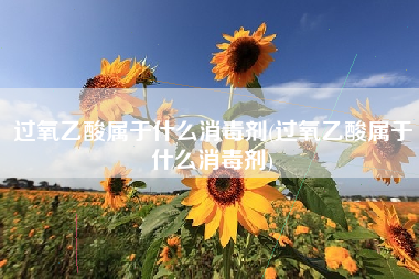 过氧乙酸属于什么消毒剂(过氧乙酸属于什么消毒剂)