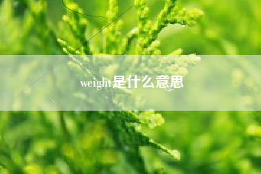 weight是什么意思