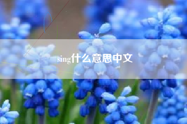 sing什么意思中文