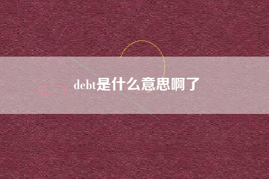 debt是什么意思啊了