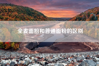 全麦面粉和普通面粉的区别