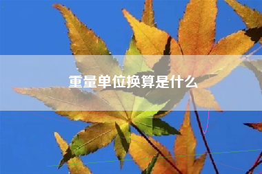 重量单位换算是什么