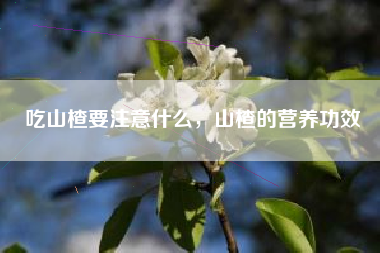 吃山楂要注意什么，山楂的营养功效