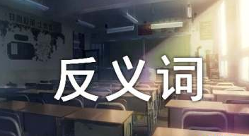 普通的反义词（普通的近义词）