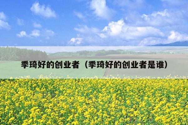 季琦好的创业者（季琦好的创业者是谁）