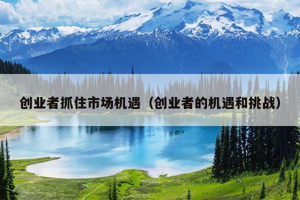 创业者抓住市场机遇（创业者的机遇和挑战）