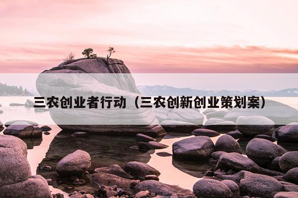 三农创业者行动（三农创新创业策划案）