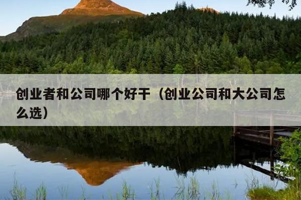创业者和公司哪个好干（创业公司和大公司怎么选）