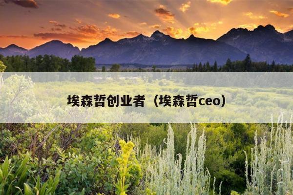 埃森哲创业者（埃森哲ceo）