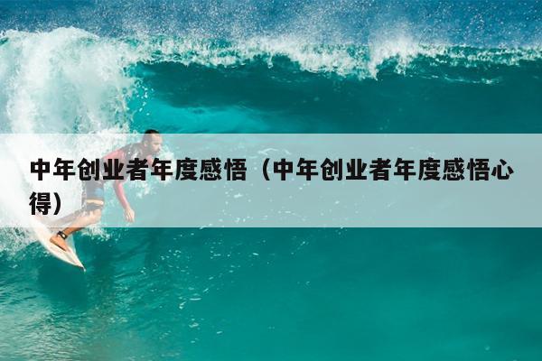 中年创业者年度感悟（中年创业者年度感悟心得）